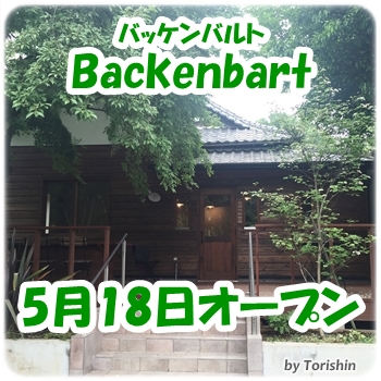 Backenbart_2