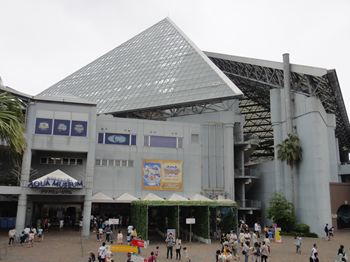 横浜八景島シーパラダイスにおでかけ 水族館編 おでかけブログ